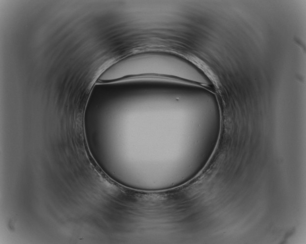 X0000091311337200708311349