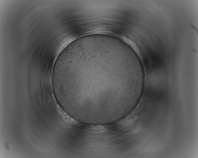 X0000091311338200708311349