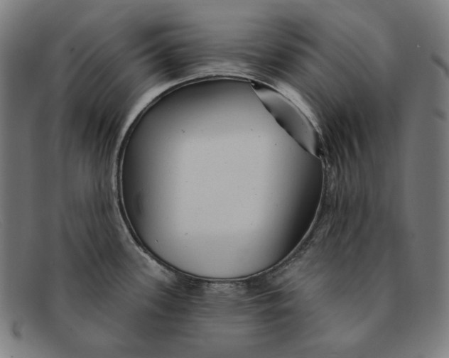 X0000091311339200708311349