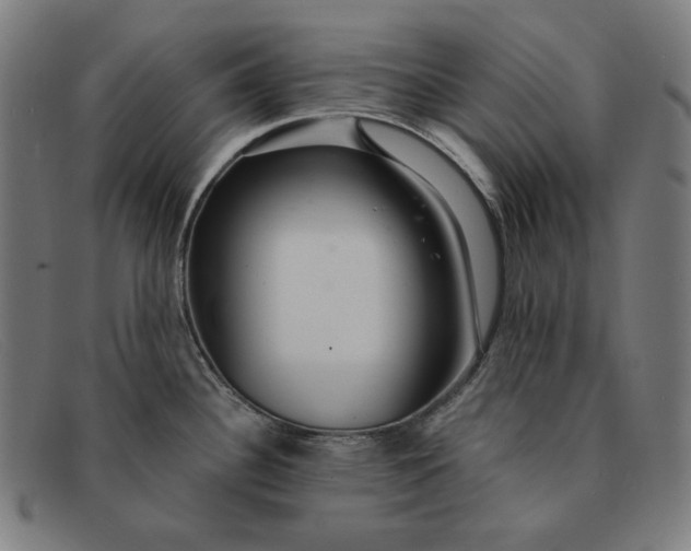 X0000091311340200708311349