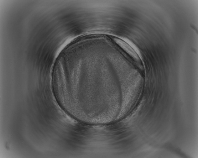 X0000091311341200708311349