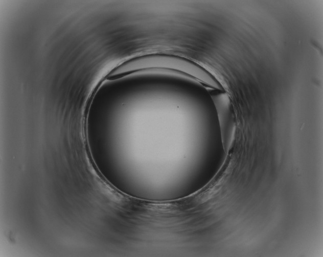 X0000091311342200708311349