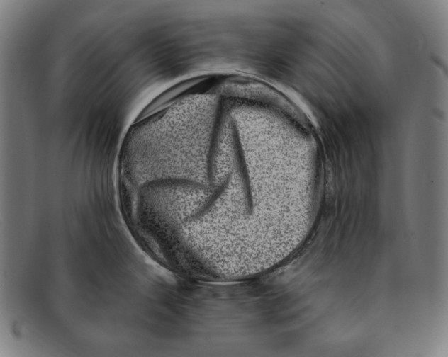 X0000091311343200708311349