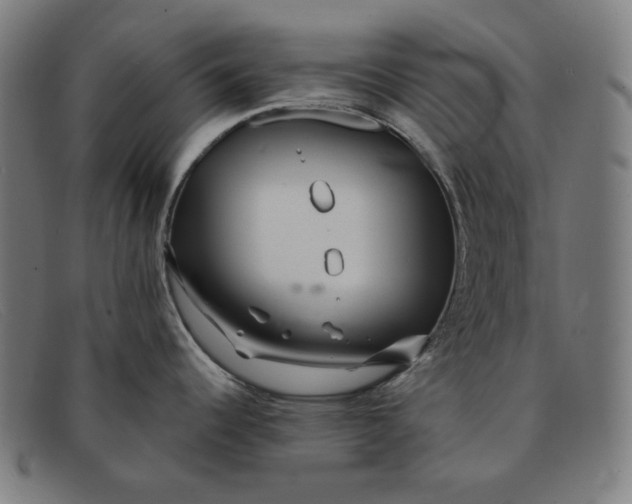 X0000091311344200708311349