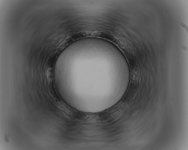 X0000091311346200708311348