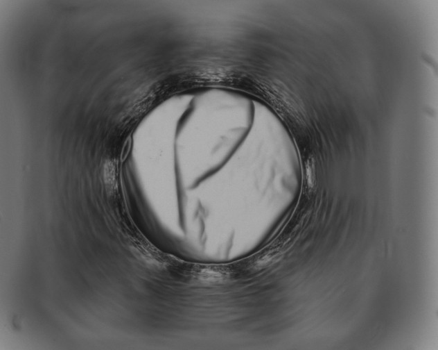 X0000091311347200708311348