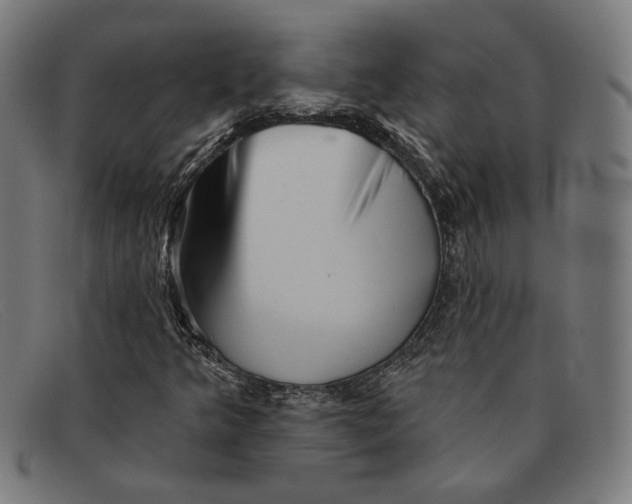 X0000091311349200708311348