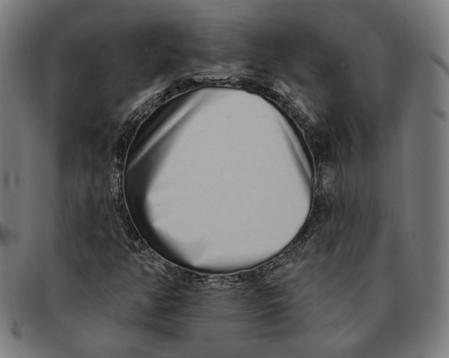 X0000091311350200708311348