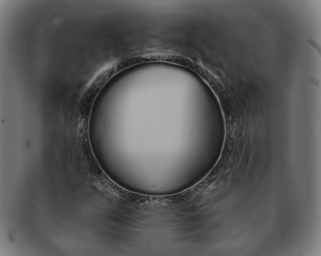 X0000091311351200708311348