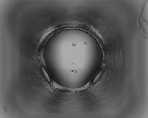 X0000091311352200708311348