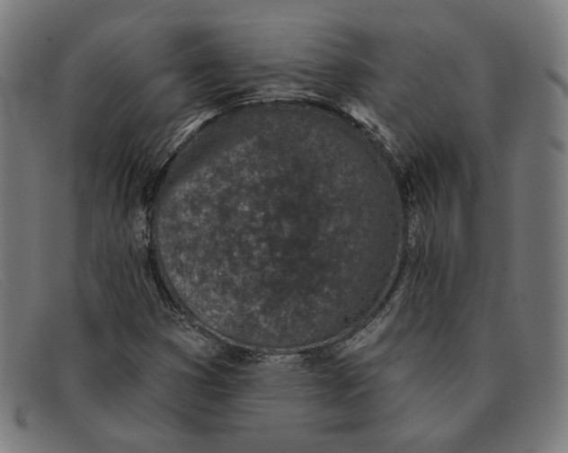 X0000091311353200708311348