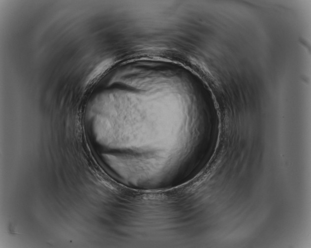 X0000091311354200708311348