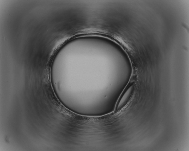 X0000091311358200708311348