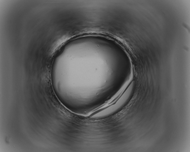 X0000091311359200708311348