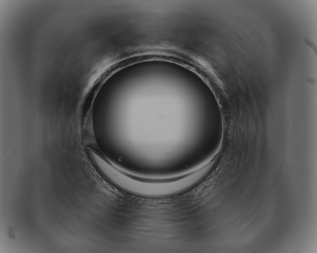 X0000091311360200708311348