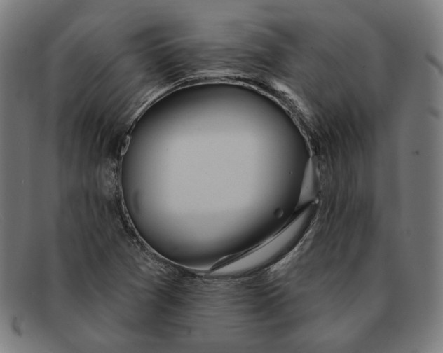 X0000091311361200708311348