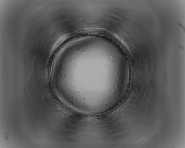 X0000091311362200708311348