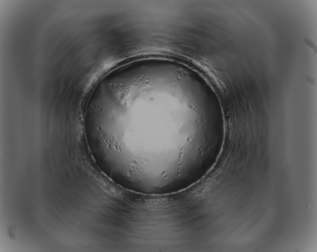 X0000091311363200708311348