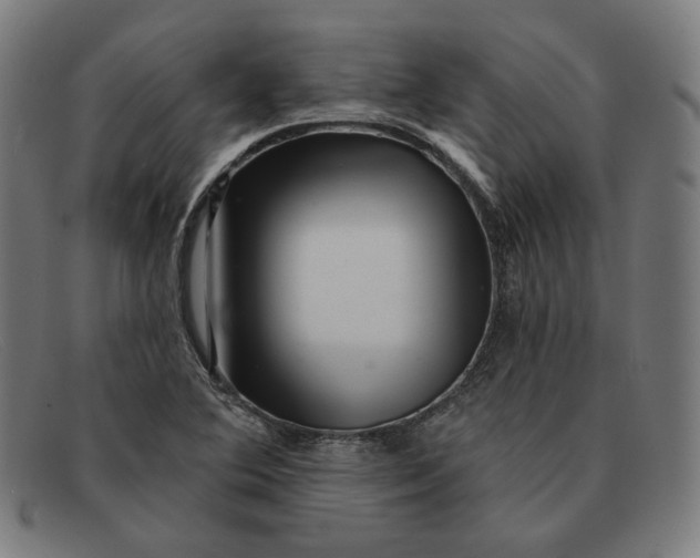 X0000091311364200708311348