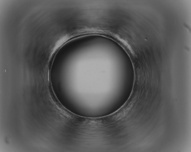 X0000091311365200708311348