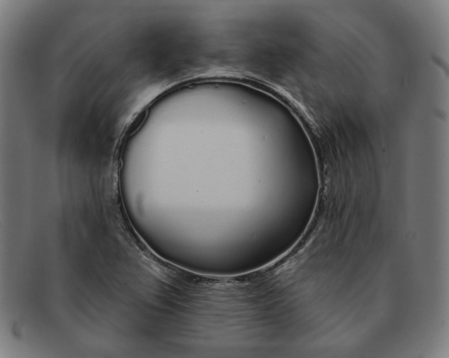 X0000091311367200708311348