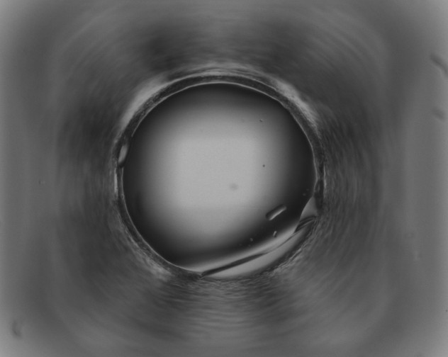 X0000091311368200708311348