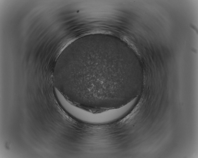 X0000091311369200708311348