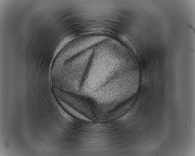 X0000091311370200708311348