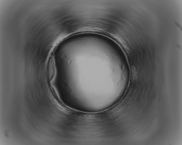 X0000091311371200708311348