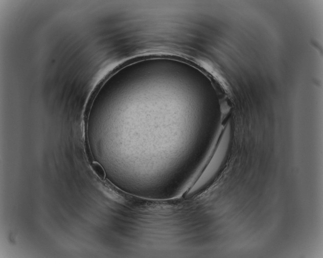 X0000091311372200708311348