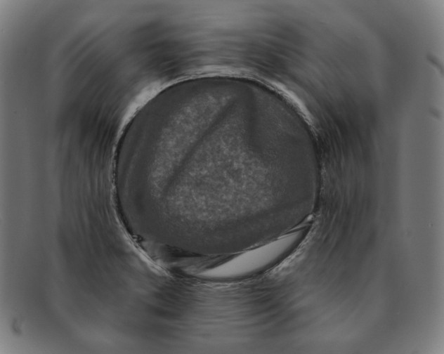 X0000091311373200708311348