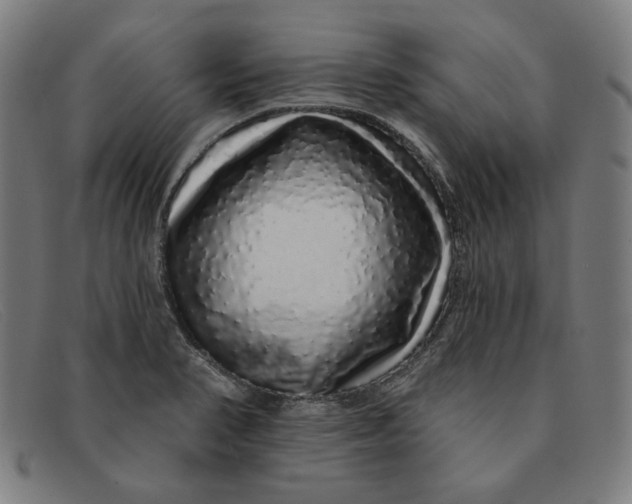 X0000091311374200708311348