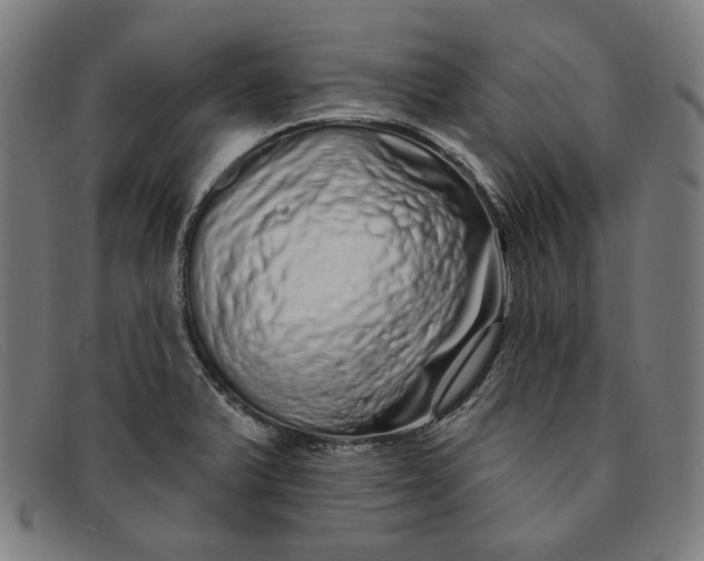 X0000091311375200708311348