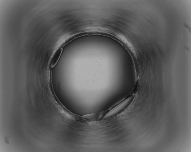 X0000091311376200708311348