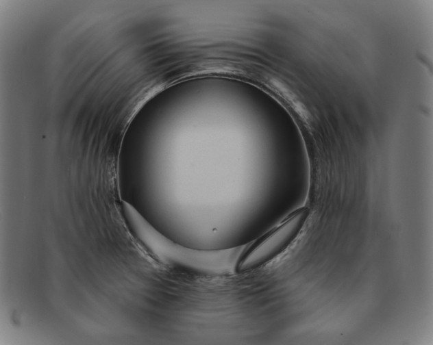 X0000091311377200708311348