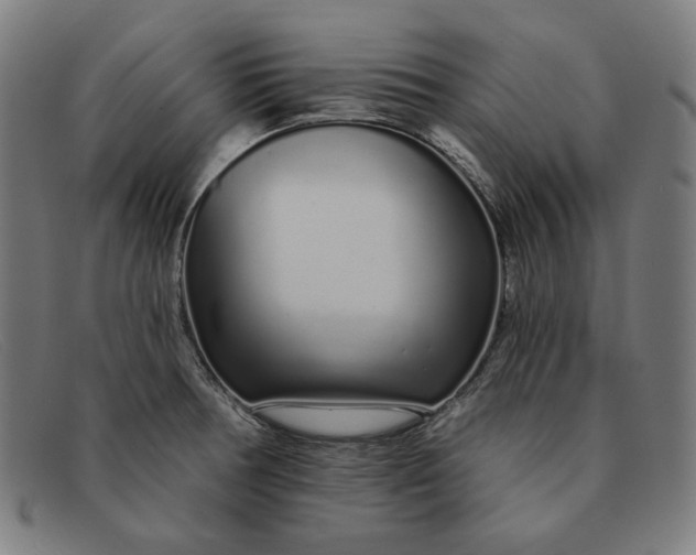 X0000091311378200708311348