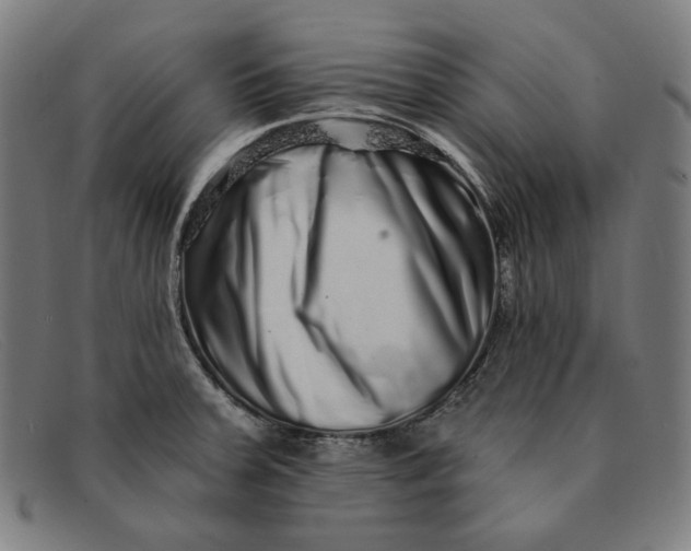 X0000091311379200708311348