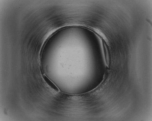 X0000091311380200708311348