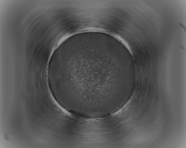 X0000091311381200708311348