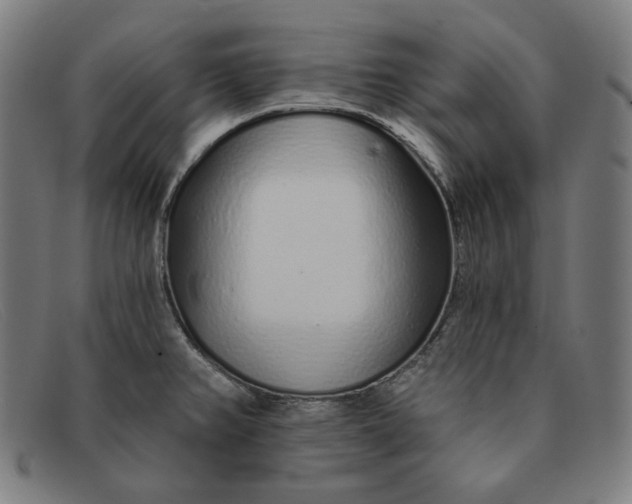 X0000091311382200708311348