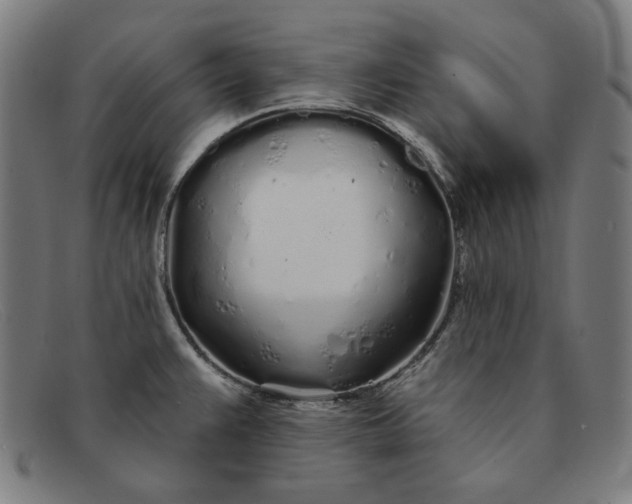 X0000091311383200708311348