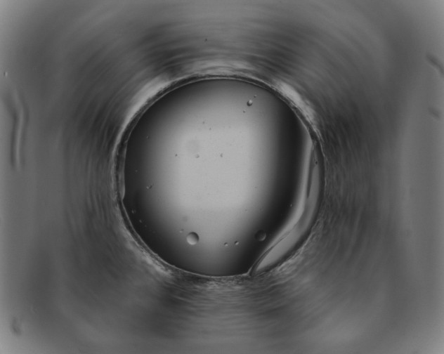 X0000091311384200708311348