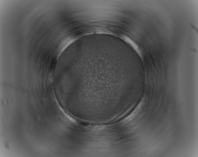 X0000091311385200708311348