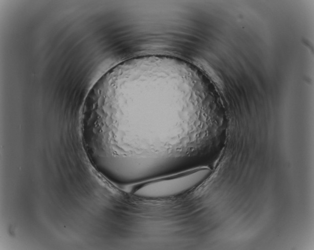 X0000091311386200708311348