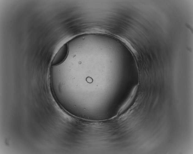 X0000091311387200708311348