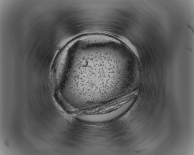 X0000091311388200708311348