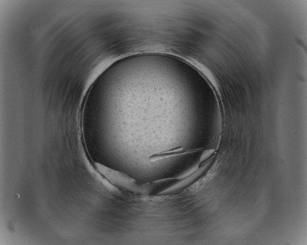 X0000091311389200708311348