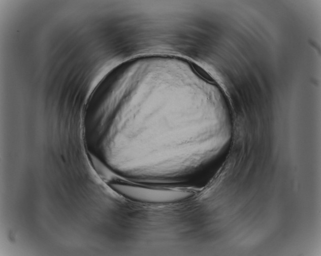 X0000091311390200708311348