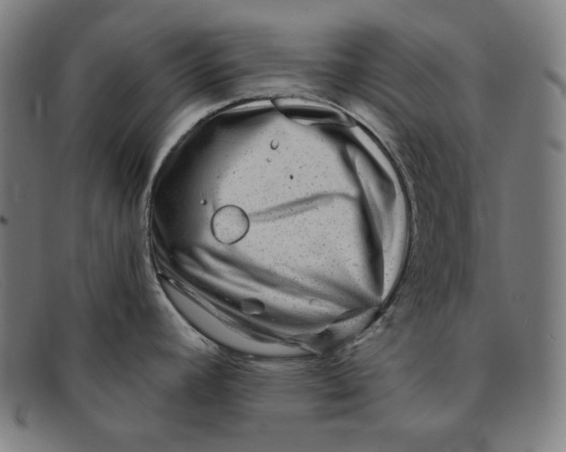 X0000091311392200708311348