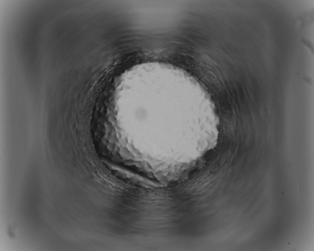 X0000091311393200708311347